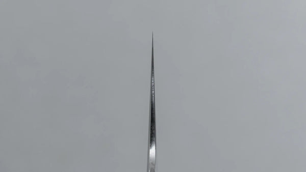 Tetsujin Silver #3 Ukiba Gyuto 210mm Taihei Makassar Ebony Handle Product vendor