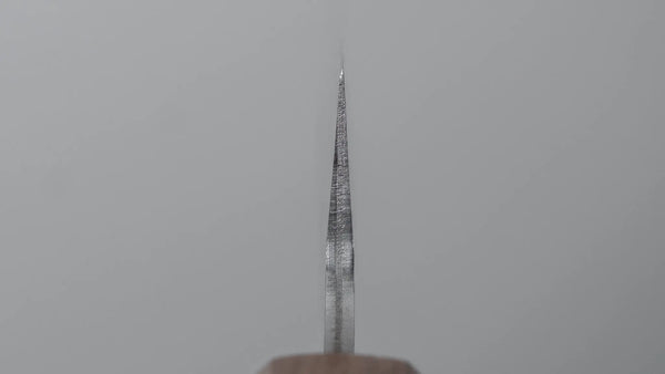 Hitohira Echizen SG2 Tsuchime Petty 140mm Tagayasan Handle Product vendor