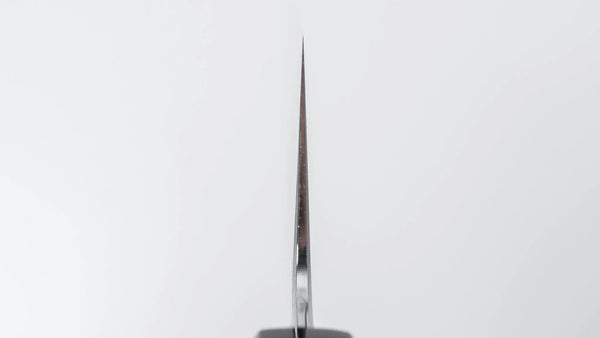 Tetsujin Silver #3 Kasumi Pasta Kiri 270mm Ho Wood Handle Product vendor