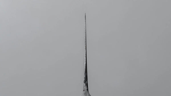 Kogetsu Carbon Sujihiki 330mm Pakka Handle Product vendor