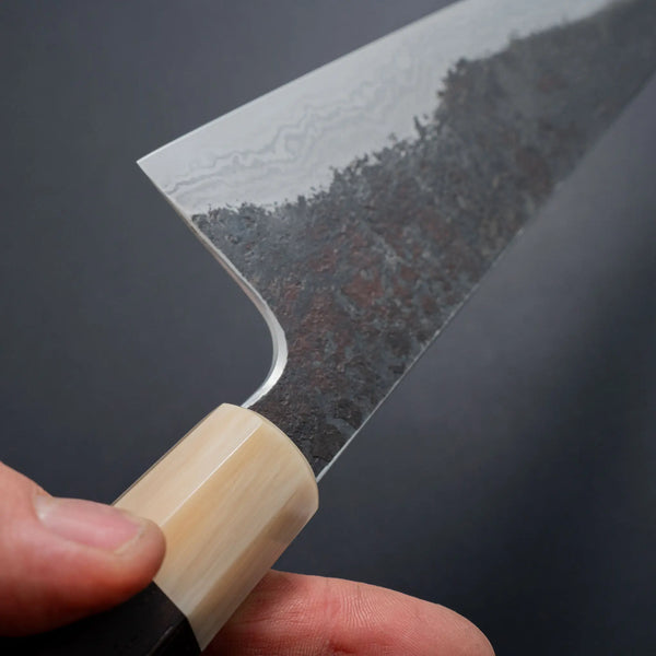 Cygnus Atratus Dama 26c3 240mm Gyuto Riisgaard Rosewood Handle - Tetogi