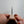 Cygnus Buccinator 26c3 230mm Gyuto Riisgaard Ceder Handle - Tetogi