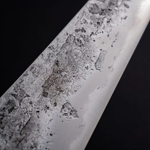 Cygnus Coryphus 26c3 250mm Gyuto Riisgaard Elm Burl Handle - Tetogi