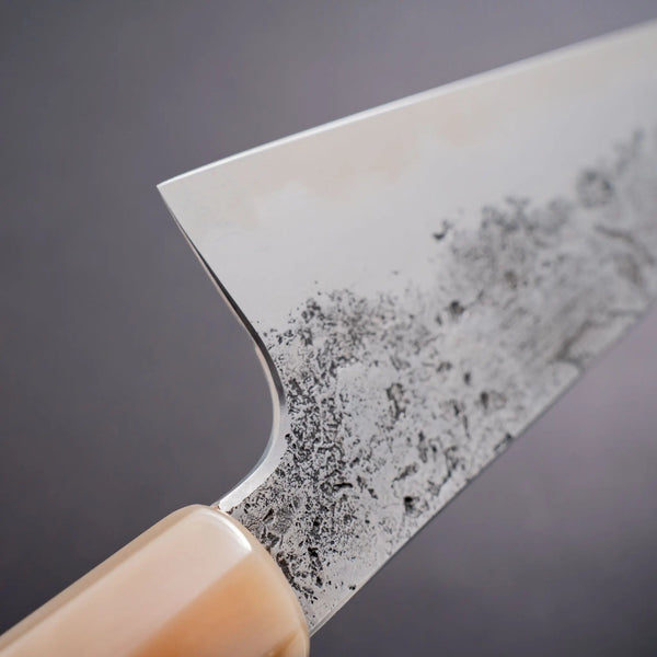 Cygnus Coryphus 26c3 250mm Gyuto Riisgaard Elm Burl Handle - Tetogi