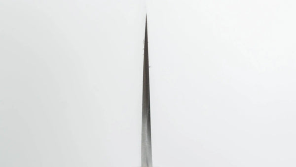Hitohira Ashi Swedish Stainless Sujihiki 270mm Ebony Handle - Tetogi