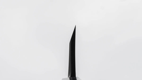 Hitohira Kikuchiyo Manzo Blue 2 Deba 180mm Ho Wood Handle (Saya) - Tetogi