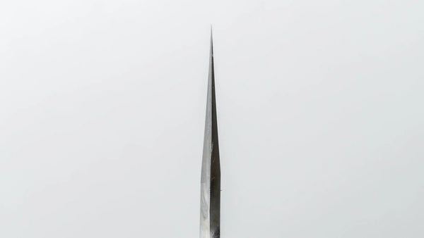 Hitohira Tanaka Kyuzo Blue #1 Stainless Clad Gyuto 210mm Taihei Makassar Ebony Handle - Tetogi