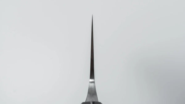 Jiro Tsuchime Wa Gyuto 225mm Taihei Tagayasan Handle (717) - Tetogi