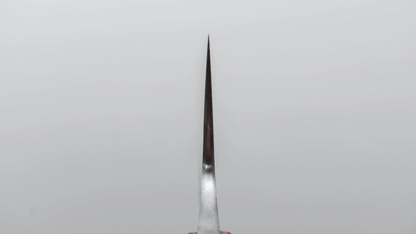 Jiro Tsuchime Yo Gyuto 240mm Tagayasan Handle (Discount/ 671) - Tetogi
