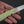 MOKI Coupe Folding Knife Grilon Handle (Cream Green) - Tetogi