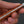 MOKI Trout & Bird Fixed Blade Quince Handle - Tetogi