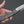 Nigara SG2 Folding Knife Carbon Fiber Handle - Tetogi
