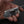 Shinkousha Left - Handed Can Opener - Tetogi