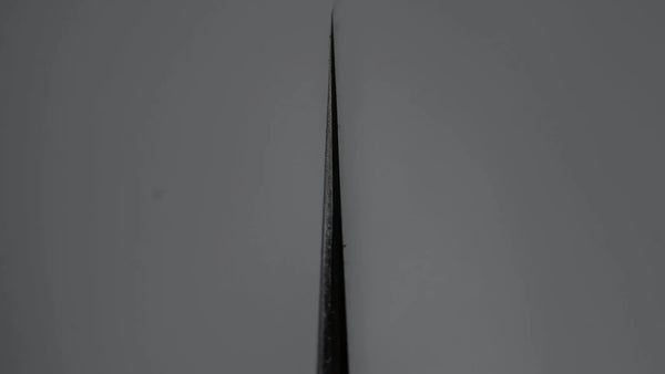 Tetsujin Blue #2 Kasumi Gyuto 240mm Ho Wood Handle - Tetogi