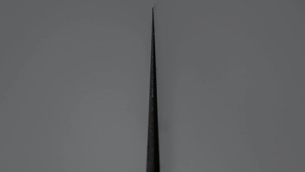 Tetsujin Blue #2 Kasumi Kiritsuke Gyuto 240mm Ho Wood Handle - Tetogi