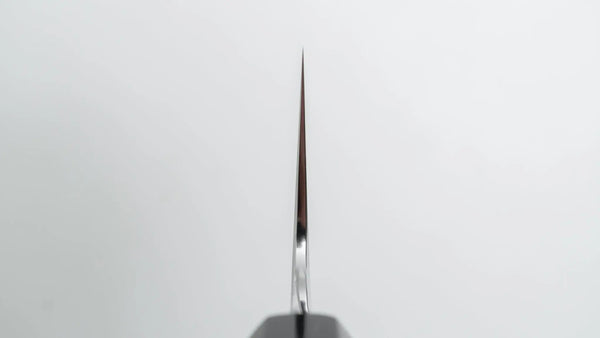 Tetsujin Silver #3 Kasumi Gyuto 210mm Taihei Makassar Ebony Handle - Tetogi