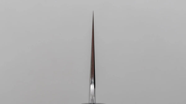Tetsujin Silver #3 Ukiba Kiritsuke Gyuto 240mm Taihei Tagayasan Handle - Tetogi