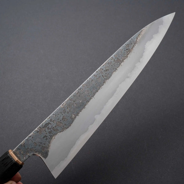 Cygnus Atratus 26C3 240mm Gyuto - Tetogi