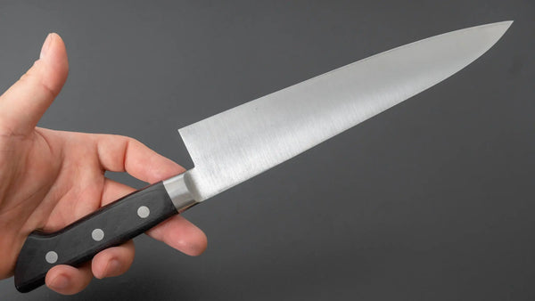 Fujiwara Kanefusa SK High Carbon Gyuto 210mm Pakka Handle - Tetogi