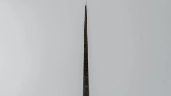 Fujiwara Kanefusa SK High Carbon Gyuto 240mm Pakka Handle - Tetogi