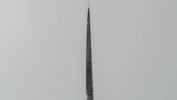 Fujiwara Kanefusa SK High Carbon Sujihiki 270mm Pakka Handle - Tetogi