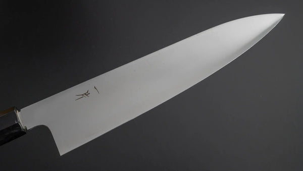 Hitohira FJ VG-10 Gyuto 240mm Ho Wood Handle (Wa) - Tetogi