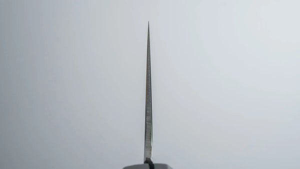 Hitohira FJ VG-10 Gyuto 240mm Ho Wood Handle (Wa) - Tetogi