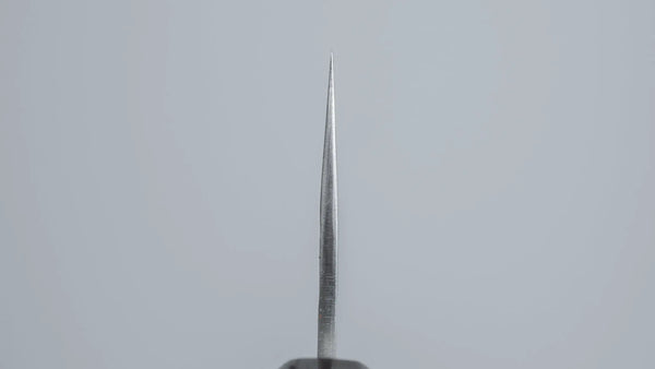 Hitohira Futana SB Migaki Tsuchime Gyuto 210mm Cherry Wood Handle - Tetogi