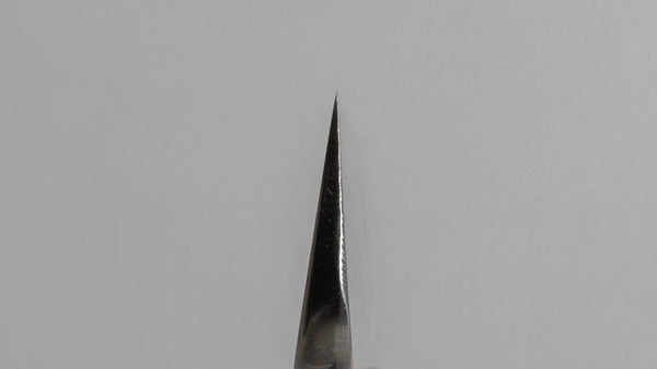 Hitohira Kikuchiyo Manzo Blue #2 Yanagiba 270mm Ho Wood Handle (Saya) - Tetogi