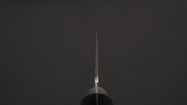 Hitohira T10 Migaki Gyuto 210mm Pakka Handle - Tetogi