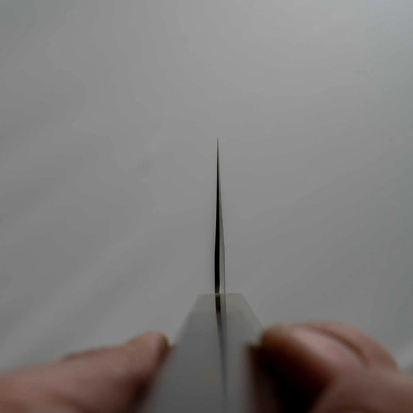 Hitohira Tanaka Kyuzo Blue #1 Migaki Gyuto 240mm Ziricote Handle - Tetogi