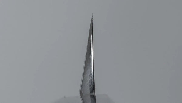 Hitohira Tanaka Mosuke Blue #1 Kiritsuke Yanagiba 300mm Ebony Handle (Saya) - Tetogi