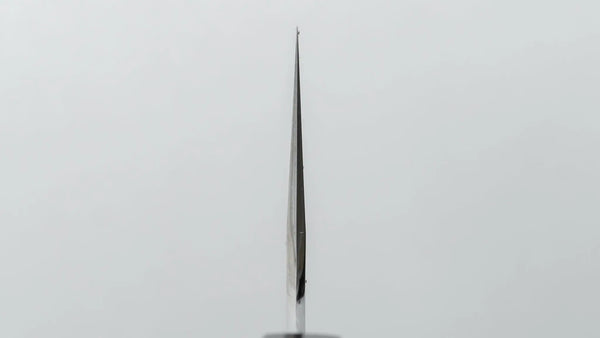 Hitohira Togashi Blue #1 Stainless Clad Migaki Gyuto 270mm Ziricote Handle - Tetogi
