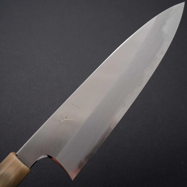 Hitohira Togashi White #1 Stainless Clad Gyuto 210mm Ziricote Handle (Blond Horn) - Tetogi