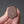Hitohira Tosa Kurouchi Blue #2 Santoku 170mm Walnut Handle (Ziricote Ferrule) - Tetogi