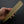 Hitohira WB Ho Wood Saya Yanagiba 210mm (5mm/ Wa) - Tetogi