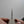 Isamitsu White #1 Stainless Clad Kurouchi Kiritsuke Gyuto 240mm Palo Santo Handle Product vendor