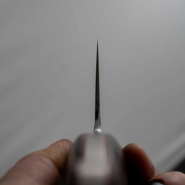 Jiro Tsuchime Yo Gyuto 255mm Tagayasan Handle (#456) - Tetogi