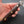 Jiro Tsuchime Yo Sujihiki 240mm Tagayasan Handle (Discounted/ #395) Product vendor