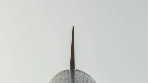 Kanehide Bessaku Sujihiki 270mm Wood Handle - Tetogi