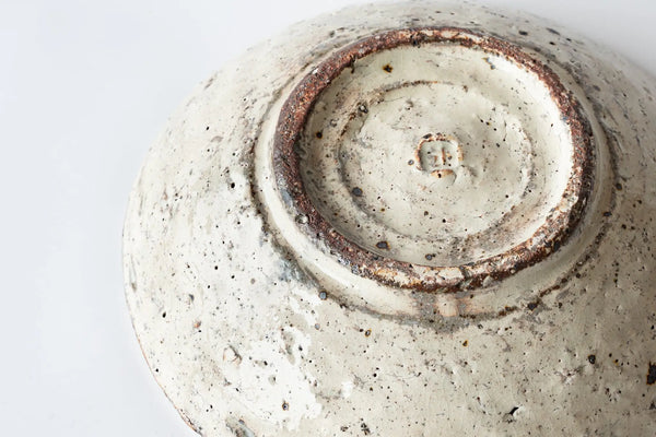 Shinichi Kotsuji Plate Large Haiyugesho (ash glaze) - Tetogi