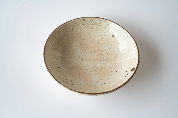 Shinichi Kotsuji Plate Large Haiyugesho (ash glaze) - Tetogi