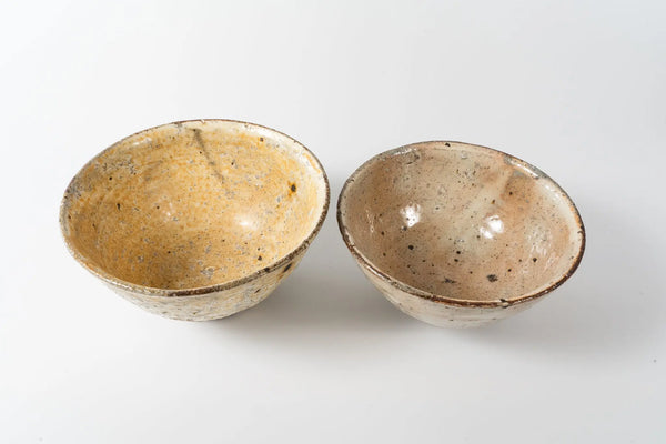 Shinichi Kotsuji - Rice Bowl Large Haiyugesho (ash glaze) - Tetogi