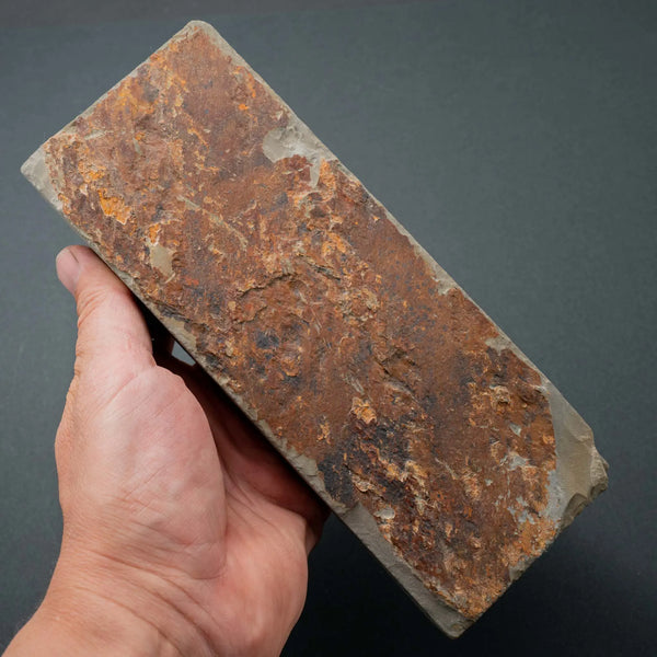 Tanaka Toishi Ohira Natural Stone (#022) - Tetogi