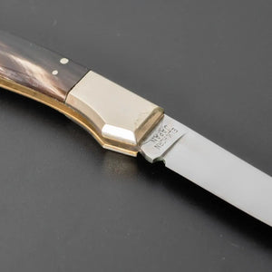 Taylor Cutlery FALCON Folding Knife 55mm Elk Horn Handle - Tetogi