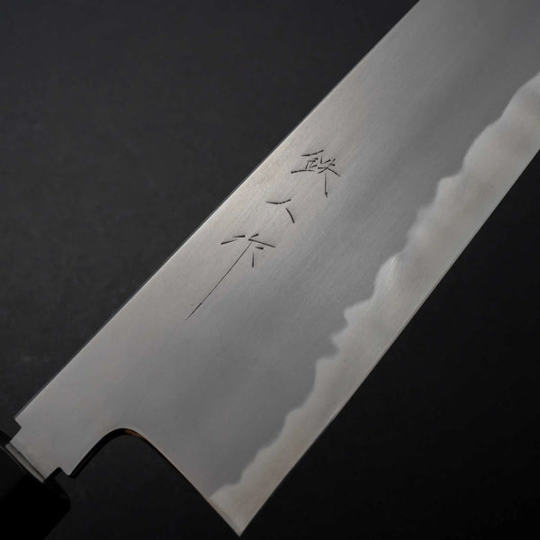 Tetsujin Blue #2 Kasumi Gyuto 270mm Taihei Makassar Ebony Handle - Tetogi