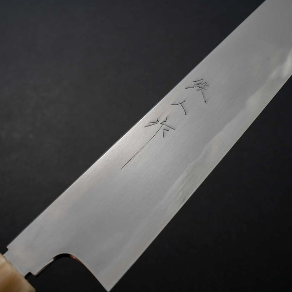 Tetsujin Blue #2 Kasumi Kiritsuke Sujihiki 270mm Ho Wood Handle - Tetogi