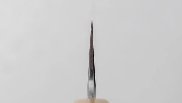 Tetsujin Blue #2 Kasumi Sujihiki 270mm Ho Wood Handle - Tetogi
