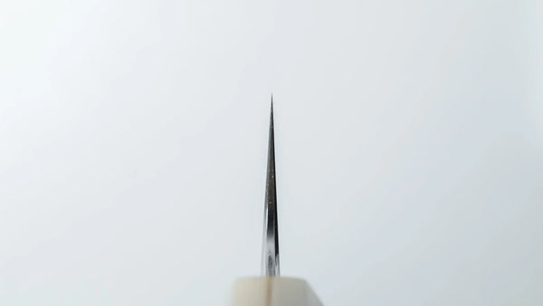 Tetsujin Blue #2 Kasumi Sujihiki 300mm Taihei Wood Handle - Tetogi